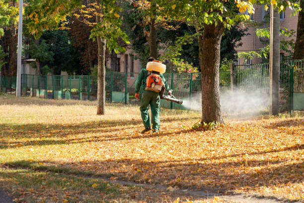 Best Termite Control Services  in Heritage Lake, IL